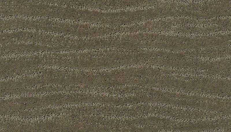 Shop Anderson Tuftex CLASSICS Pose Herbal 00535_ZZ079 Carpet Shop Anderson Tuftex CLASSICS Pose Herbal 00535_ZZ079 Carpet