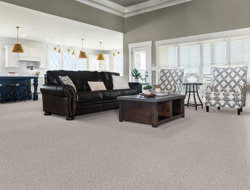 Shop Anderson Tuftex Terra Nova Platinum 00552_ZZ252 Carpet