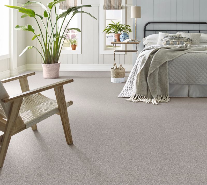 Shop Anderson Tuftex Terra Nova Platinum 00552_ZZ252 Carpet