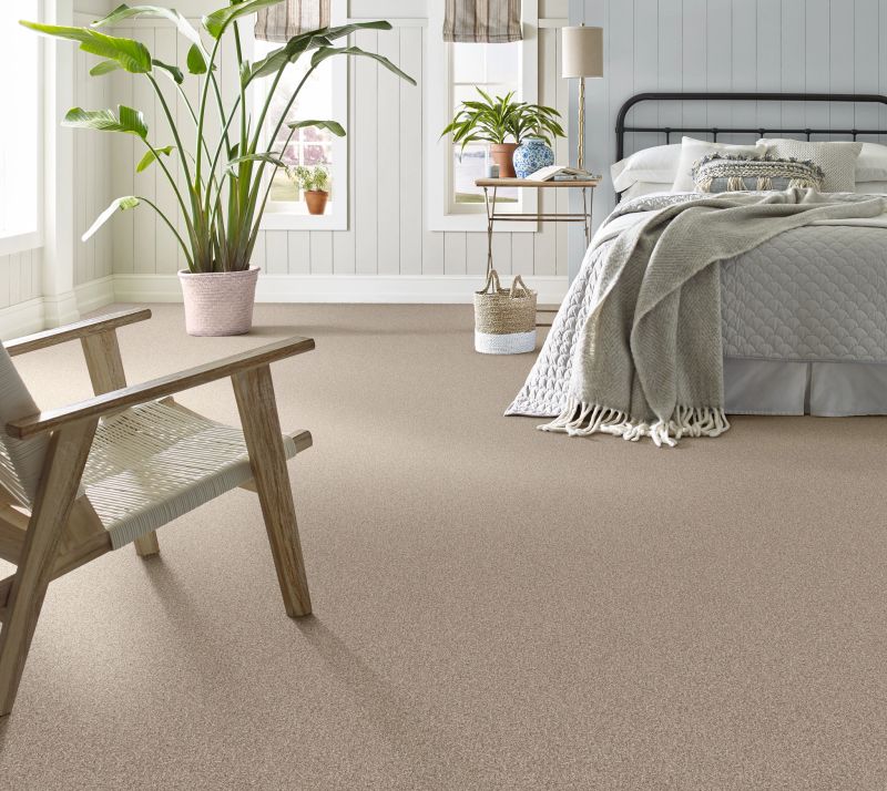 Shop Anderson Tuftex Terra Nova Meditation 00712_ZZ252 Carpet