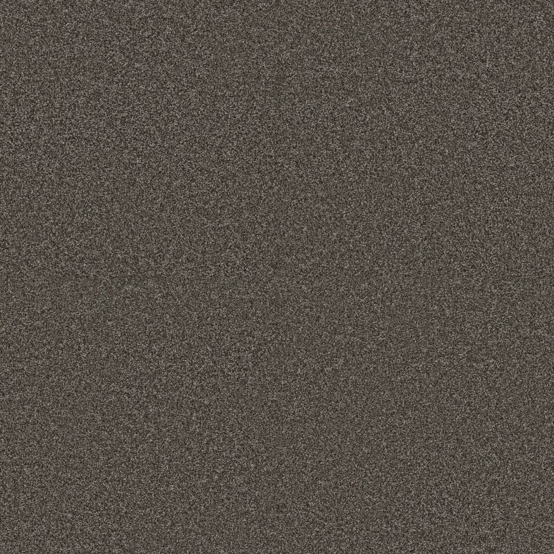 Shop Anderson Tuftex Pet Perfect Plus Kaleidoscope Espresso