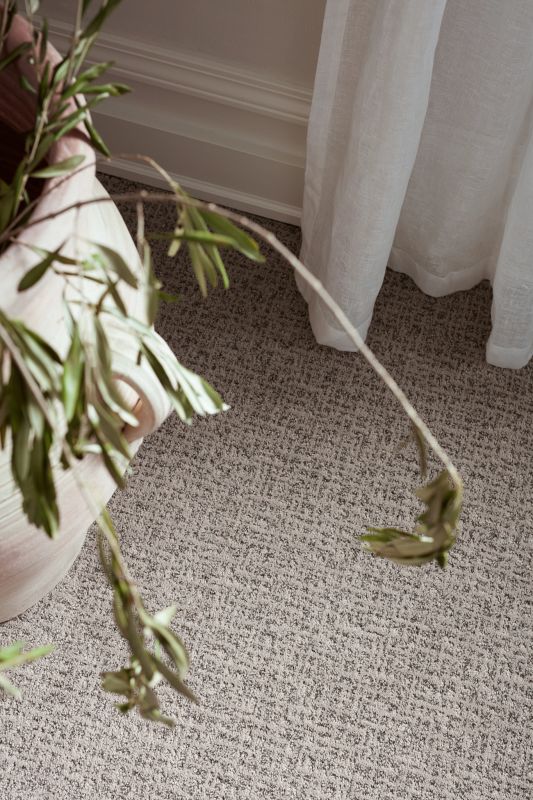 Shop Anderson Tuftex Caboodle Grounded 00753_ZZ259 Carpet