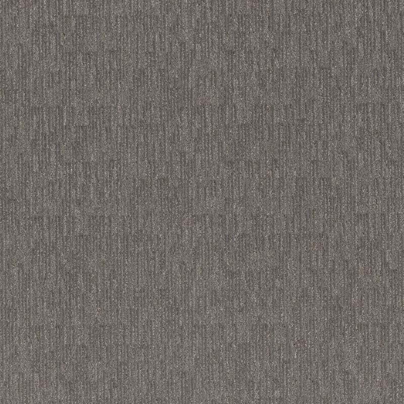 Shop Anderson Tuftex Sneak Peek Magnetic 00556_ZZ260 Carpet
