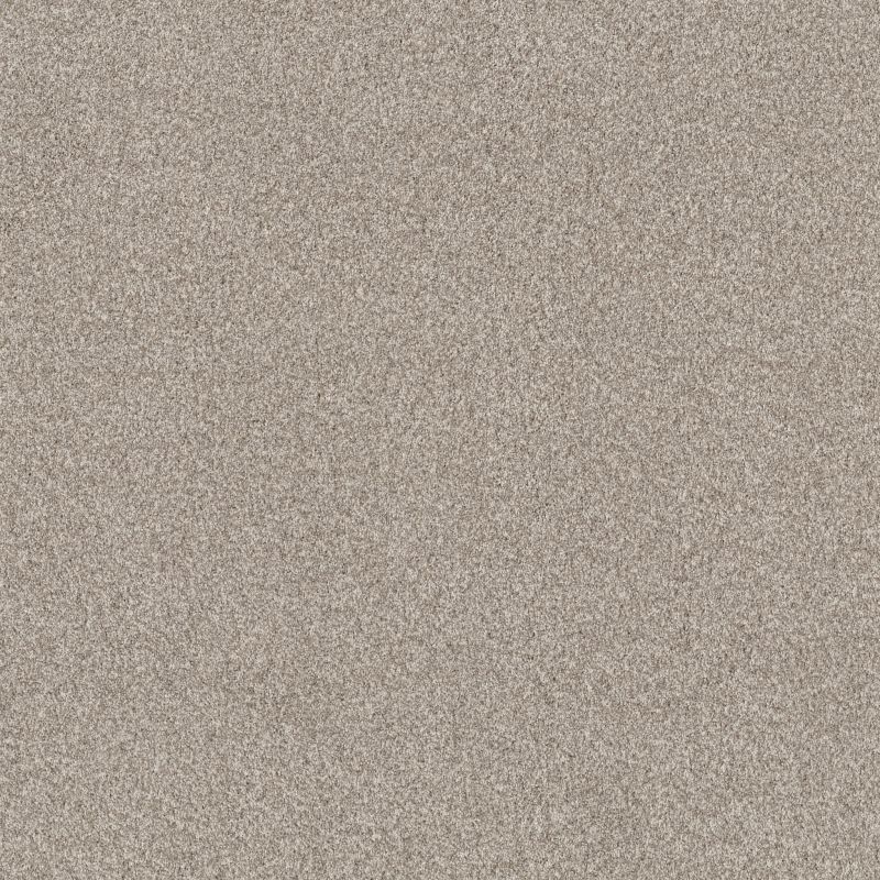 Shop Anderson Tuftex Bossa Nova Misty Dawn 00151_ZZ275 Carpet