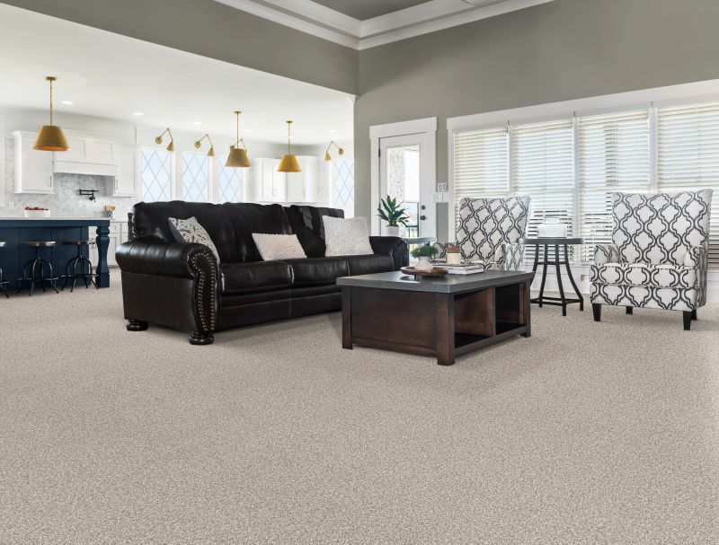 Shop Anderson Tuftex Bossa Nova Misty Dawn 00151_ZZ275 Carpet