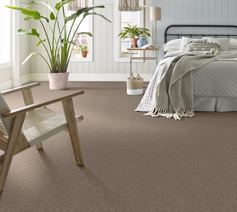 Shop Anderson Tuftex Bossa Nova Palm Desert 00756_ZZ275 Carpet