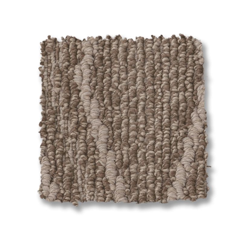 Shop Anderson Tuftex Cozy Cable Tuscan 00775_ZZ292 Carpet | Bud
