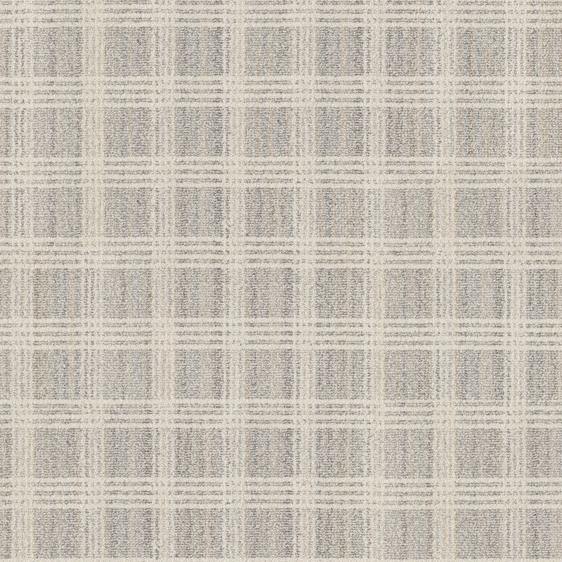 Shop Anderson Tuftex COLLAB Ivory Metallic 00103_ZZ311 Carpet