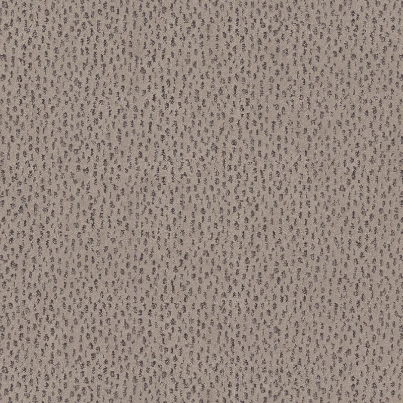 Shop Anderson Tuftex Ambitious Mocha 00702_ZZ327 Carpet | Carpet Town