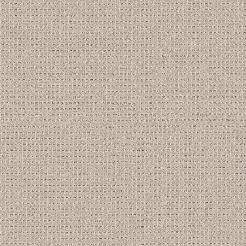 Shop Anderson Tuftex Rhode Toasted Almond 00151_ZZ366 Carpet