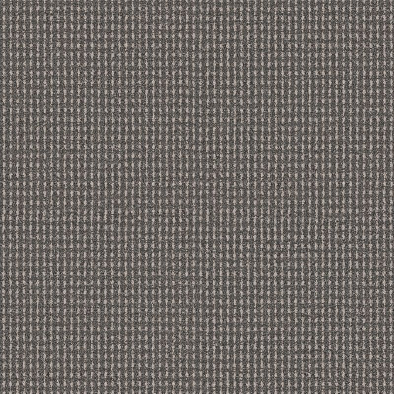 Shop Anderson Tuftex Rhode Deer Path 00558_ZZ366 Carpet | Bram