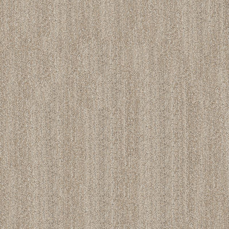 Shop Anderson Tuftex In Tempo Almond 00110_ZZ367 Carpet | Alfieri