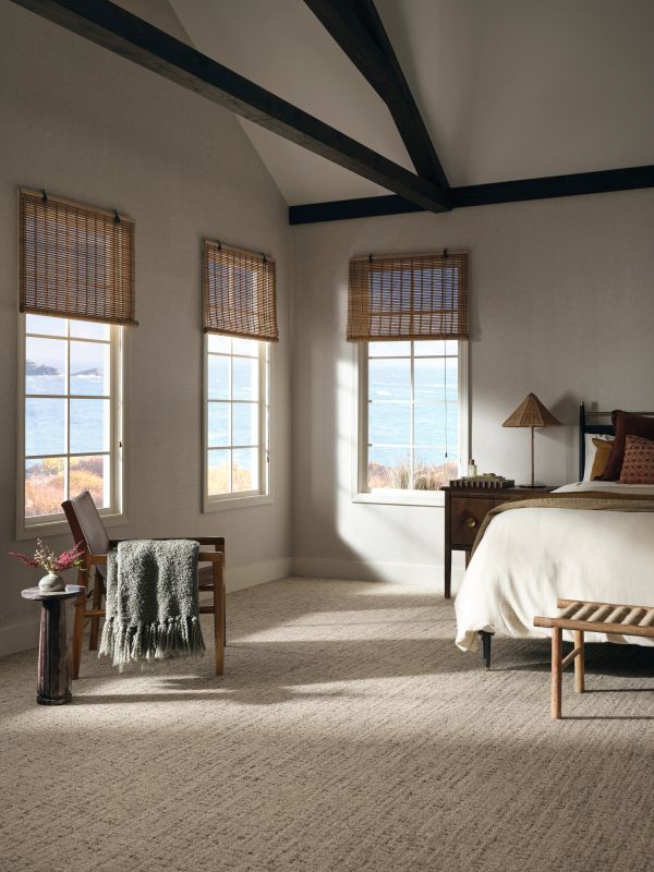 Shop Anderson Tuftex In Step Derby 00713_ZZ368 Carpet | Sterling