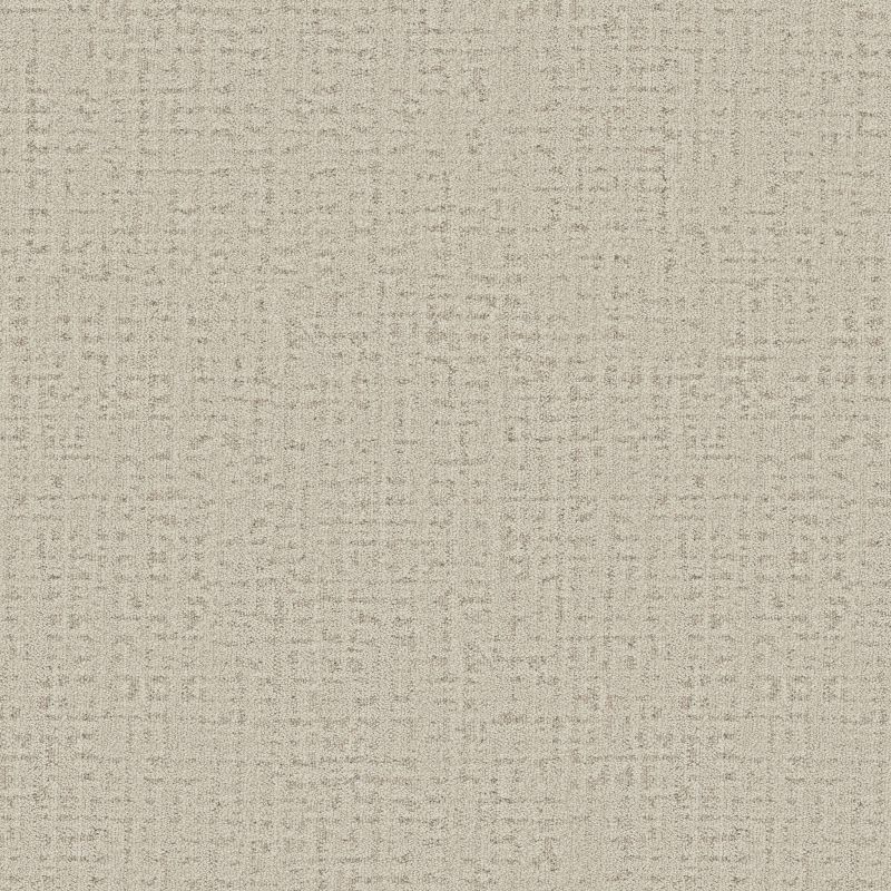 Shop Anderson Tuftex In Step Blush 00810_ZZ368 Carpet | Vallow