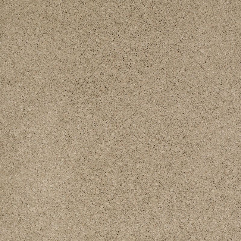 Shaw Floors Nfa/Apg Barracan I Panama