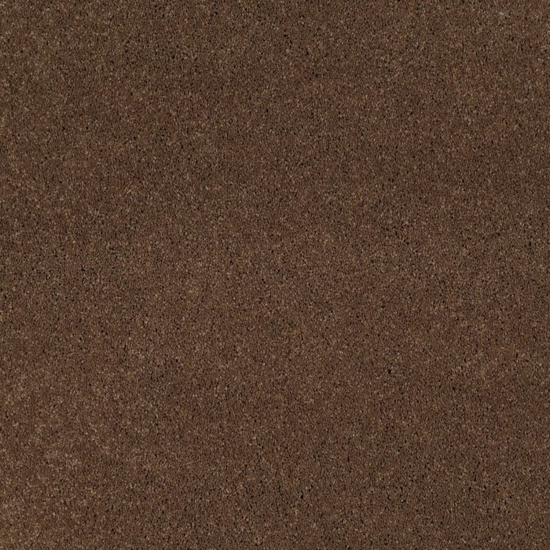 Shaw Floors Nfa/Apg Barracan I Great Plains