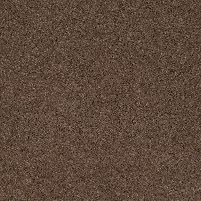 Shaw Floors Nfa/Apg Barracan I Pebble Creek