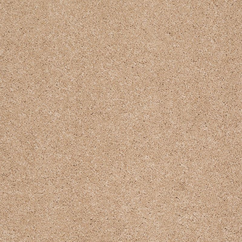 Shaw Floors Nfa/Apg Barracan III Maplewood North