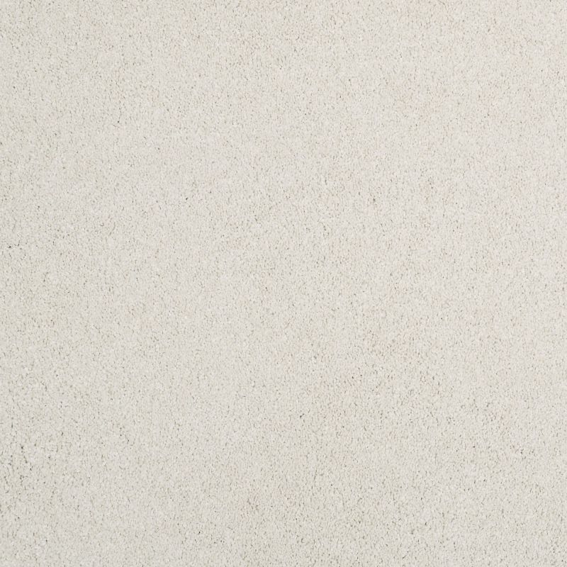 Shaw Floors Nfa/Apg Barracan Iv Suffolk
