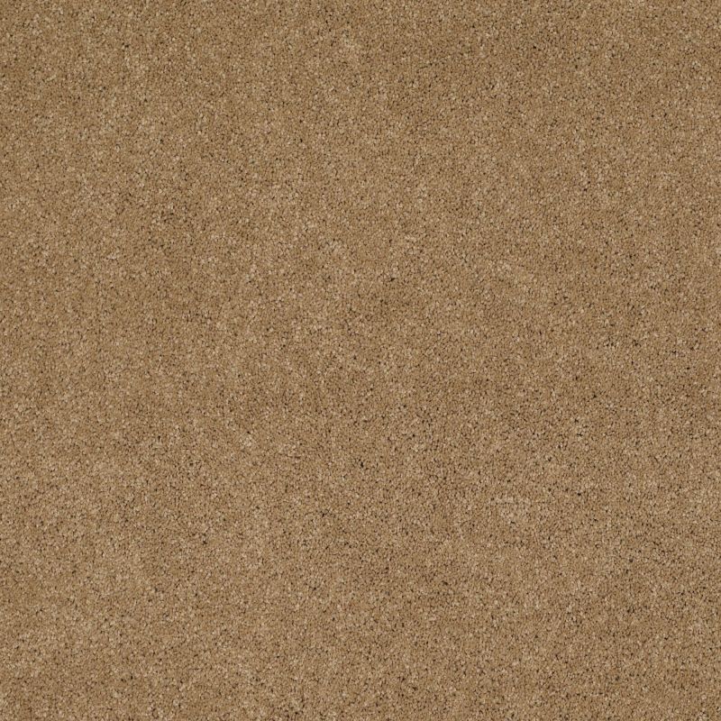 Shaw Floors Nfa/Apg Barracan Iv Navajo