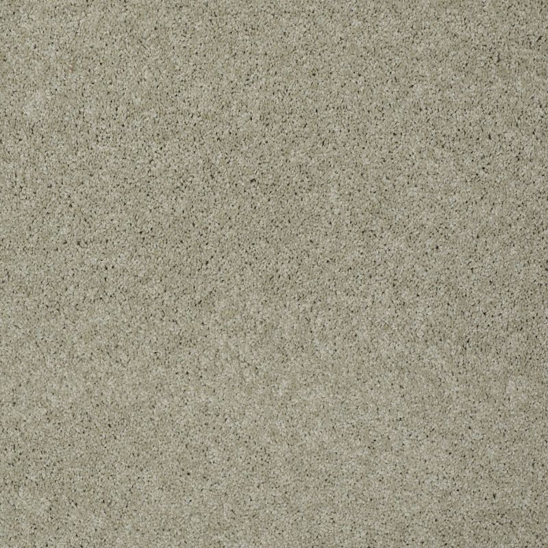Shaw Floors Nfa/Apg Detailed Style III City Scape