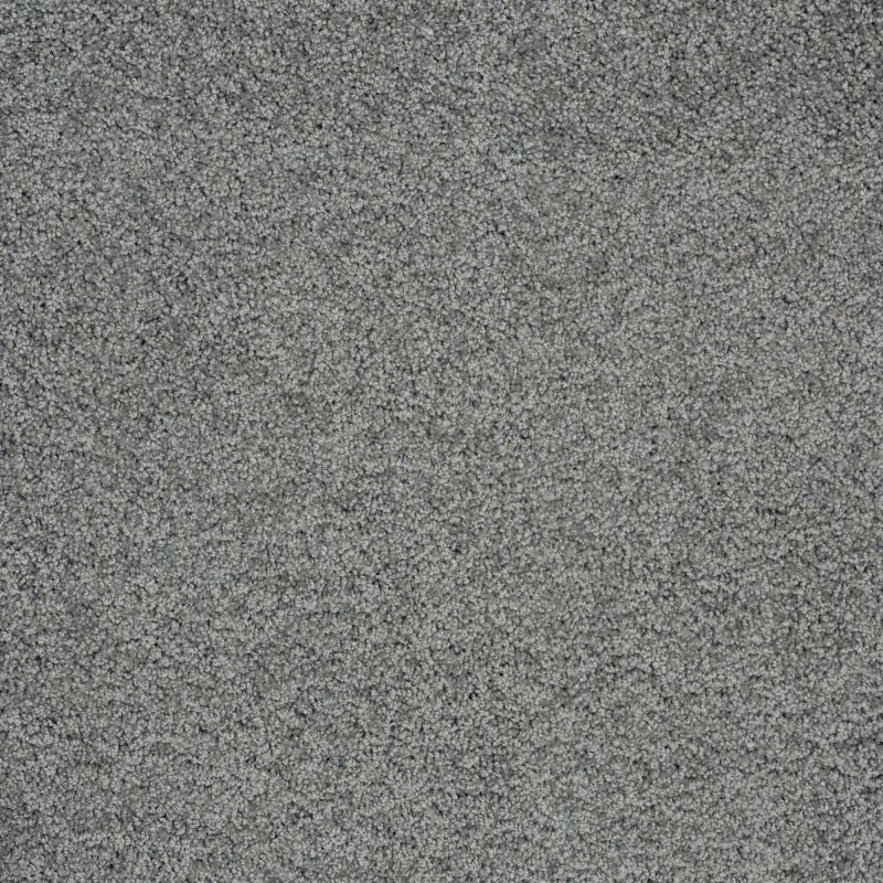 Shaw Floors Nfa/Apg Detailed Style III Blue Chateau