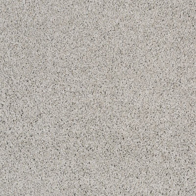Shaw Floors Nfa/Apg Detailed Style III Sheer Silver
