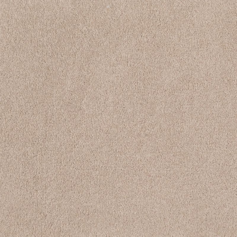 Shaw Floors Nfa/Apg Endura I 12' Pudding