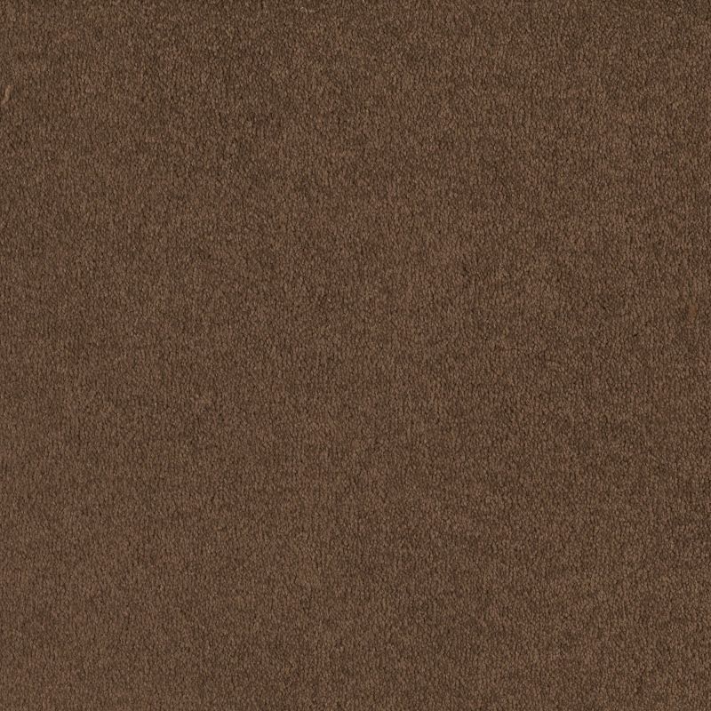 Shaw Floors Nfa/Apg Endura I 12' Pine Cone
