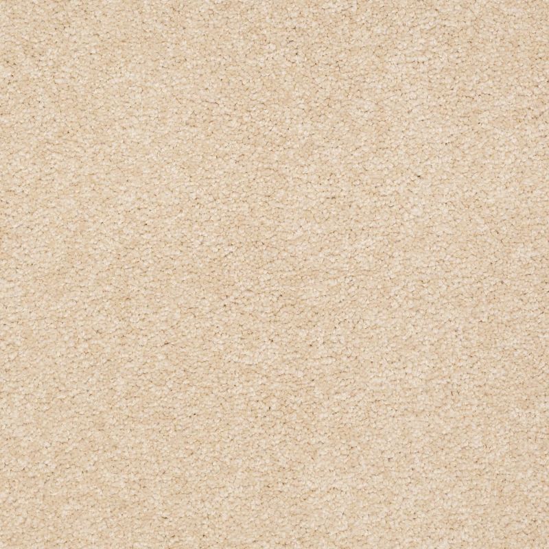 Shaw Floors Nfa/Apg Endura II 12' Marzipan