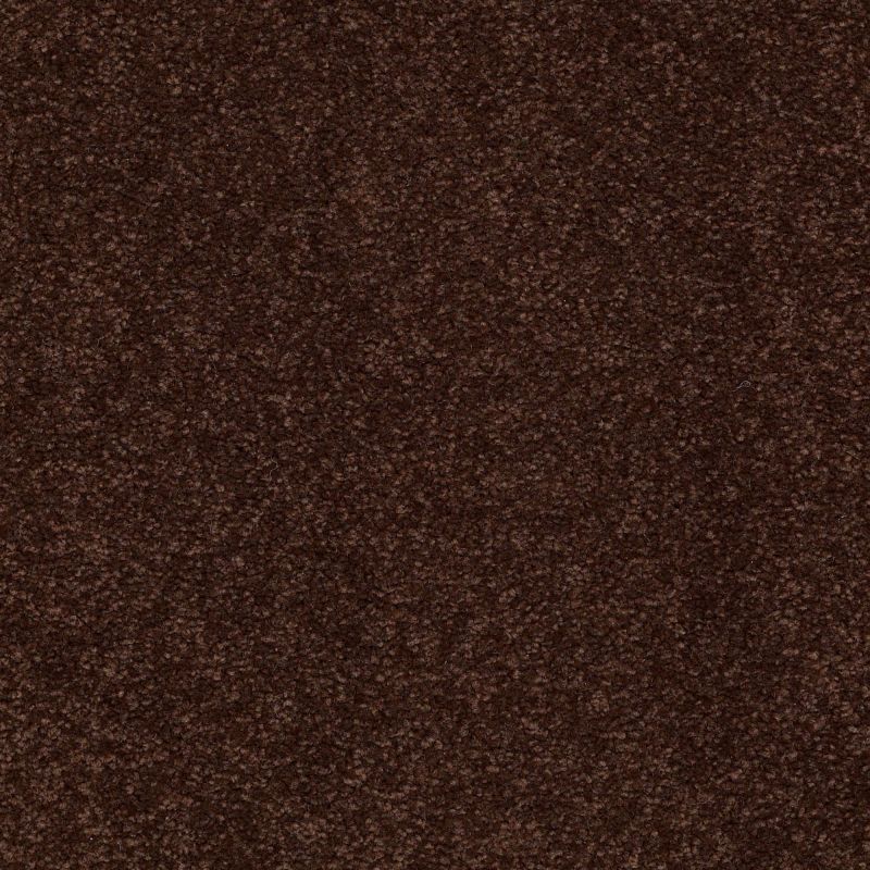 Shaw Floors Nfa/Apg Endura II 12' Coffee Bean