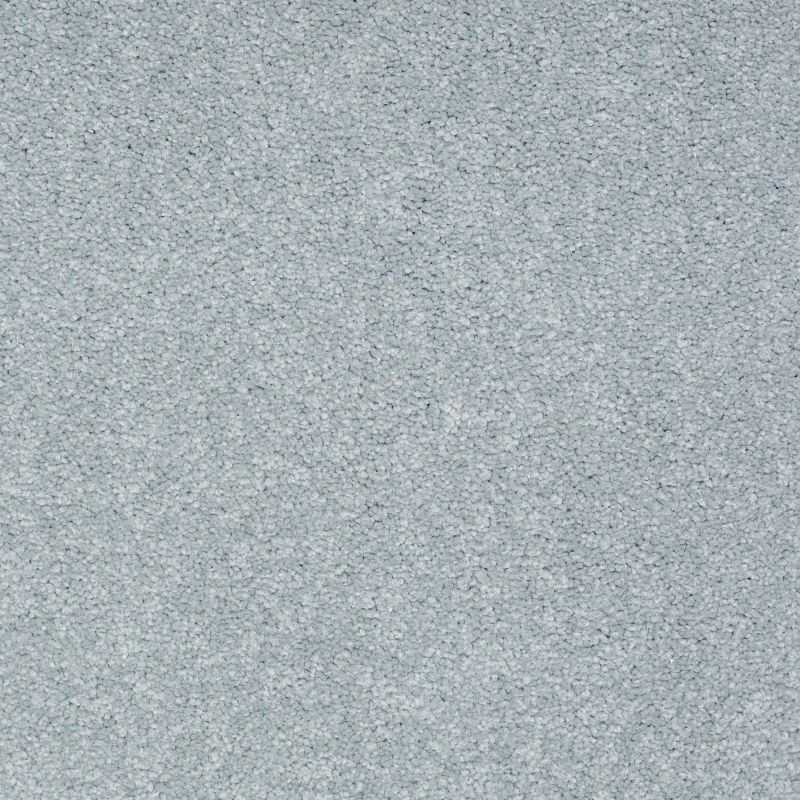Shaw Floors Nfa/Apg Endura III 12' Seascape