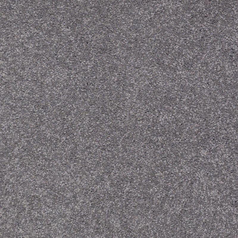 Shaw Floors Nfa/Apg Endura III 12' Slate