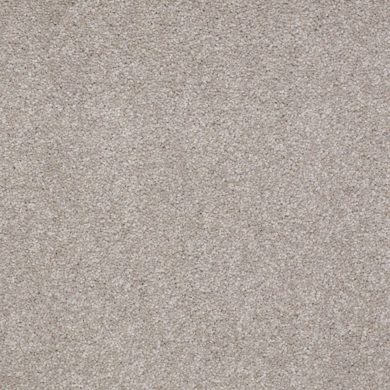 Shaw Floors Nfa/Apg Endura I 15' London Fog