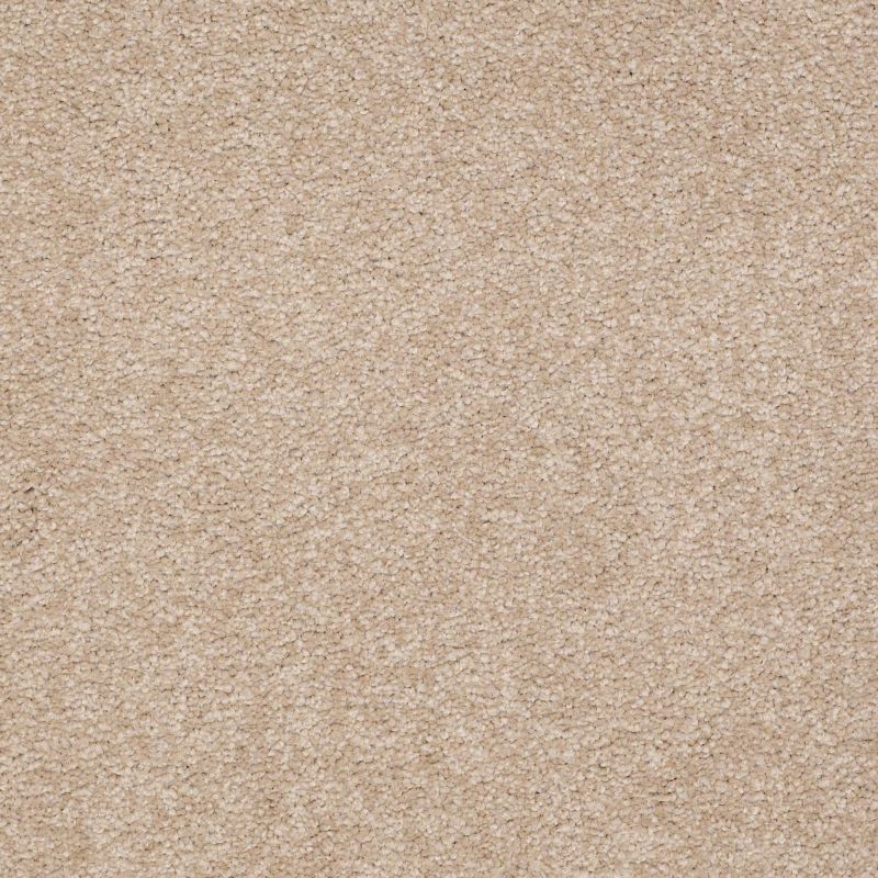 Shaw Floors Nfa/Apg Endura III 15' Adobe