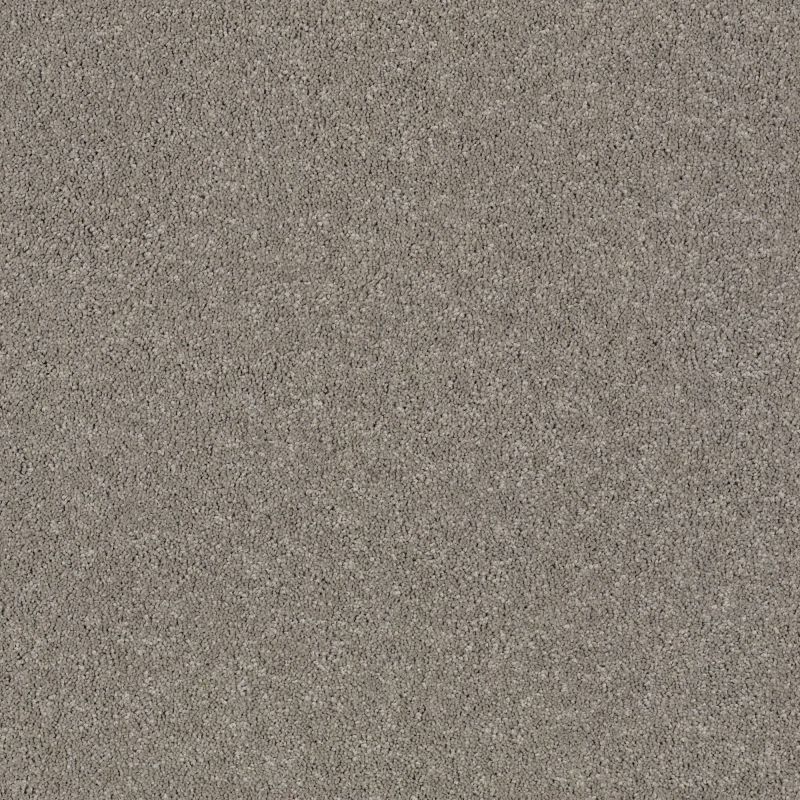 Shaw Floors Nfa/Apg Barracan Classic I Birch Bark