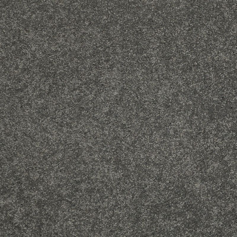 Shaw Floors Nfa/Apg Barracan Classic I Onyx