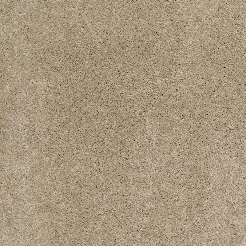 Shaw Floors Nfa/Apg Barracan Classic I Pecan Bark