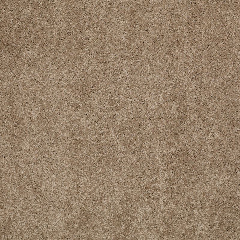 Shaw Floors Nfa/Apg Barracan Classic I Pebble Path