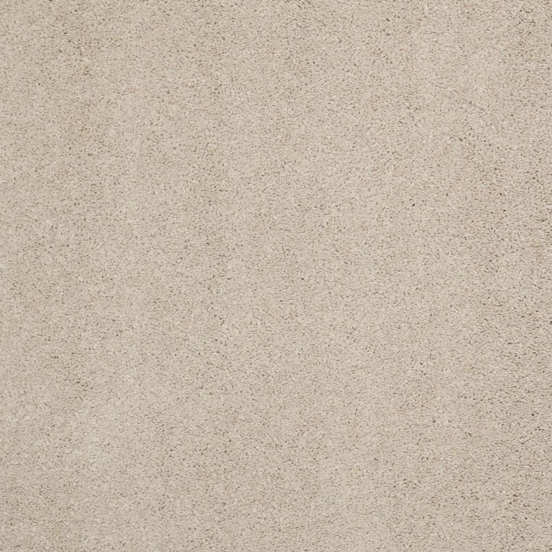 Shaw Floors Nfa/Apg Barracan Classic II Suede