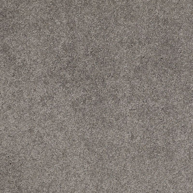 Shaw Floors Nfa/Apg Barracan Classic II Chinchilla