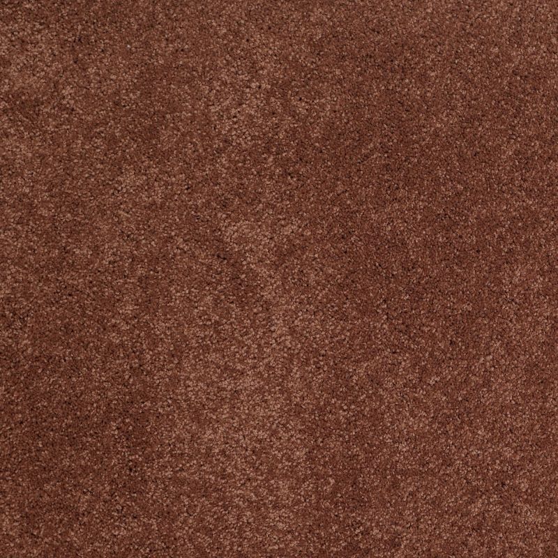 Shaw Floors Nfa/Apg Barracan Classic II Rich Henna