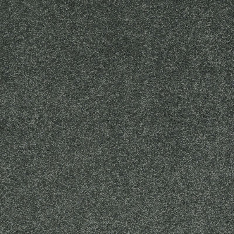 Shaw Floors Nfa/Apg Barracan Classic III Emerald
