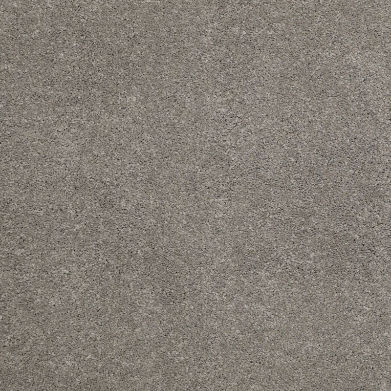 Shaw Floors Nfa/Apg Barracan Classic III Barnboard