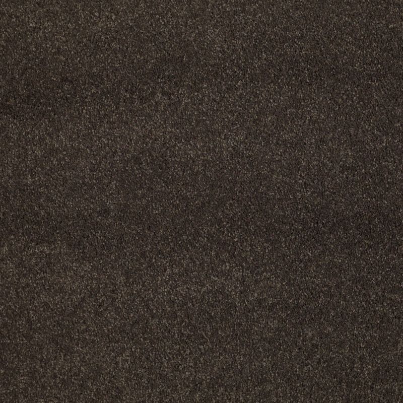 Shaw Floors Nfa/Apg Barracan Classic III Chestnut
