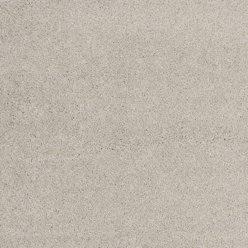 Shaw Floors Nfa/Apg Barracan Classic Iv Sterling
