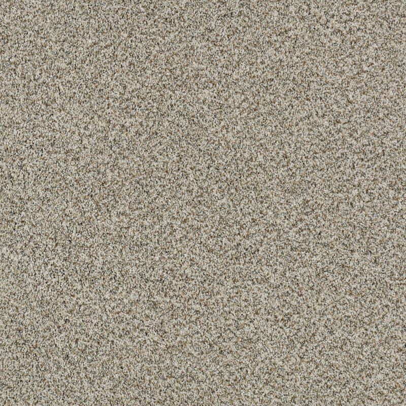 Shaw Floors Nfa/Apg Pekin Classic I Drizzle