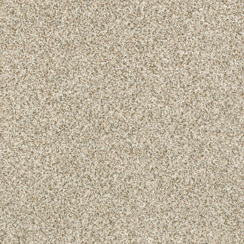 Shaw Floors Nfa/Apg Pekin Classic I Celtic