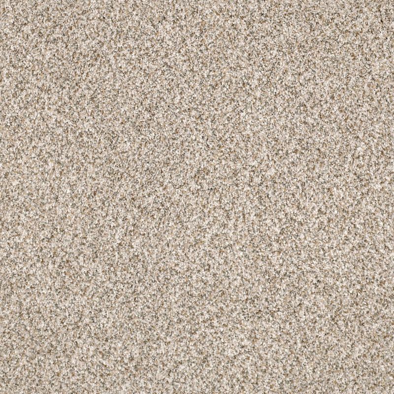 Shaw Floors Nfa/Apg Pekin Classic II Granite