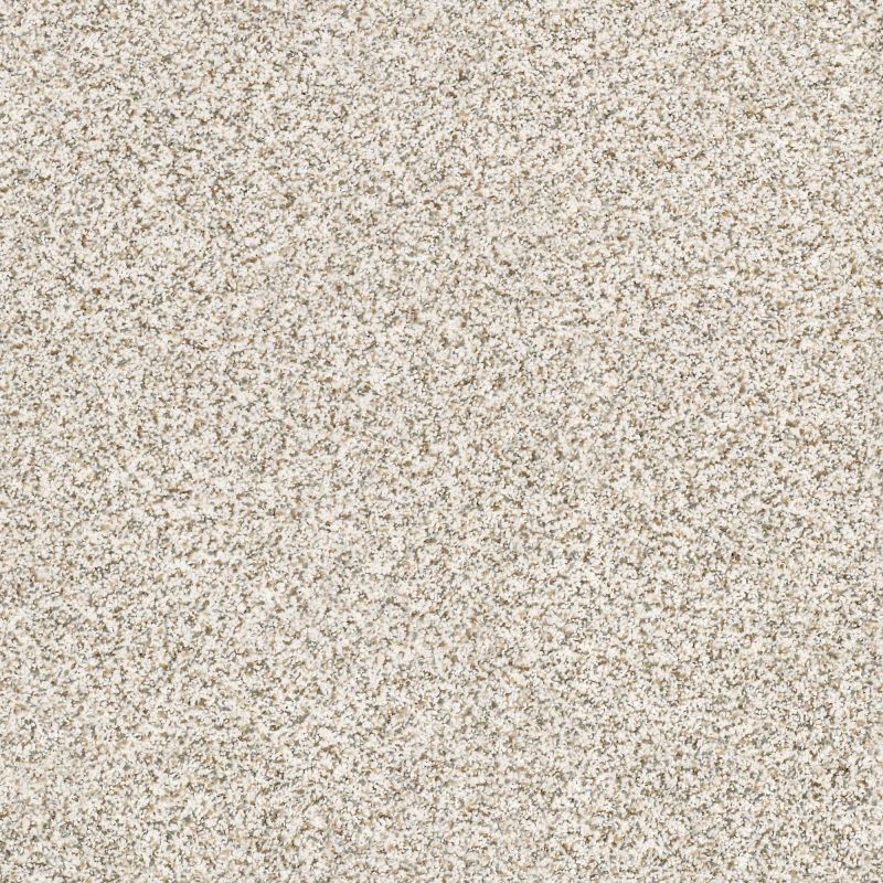 Shaw Floors Nfa/Apg Pekin Classic III Breton